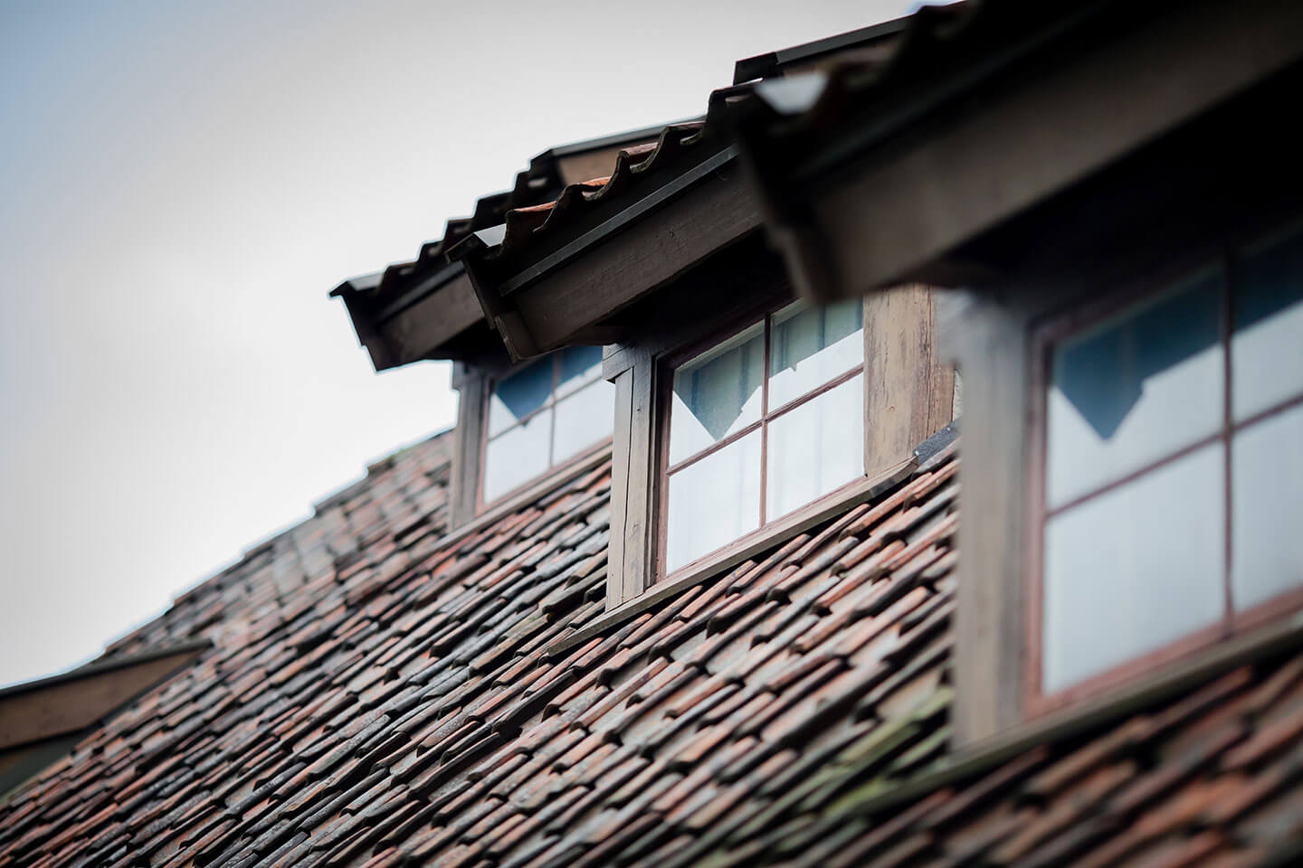 windows closeup